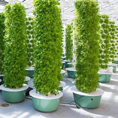 Hydroponic System - Aeroponics Towers Garden Systems With Lights