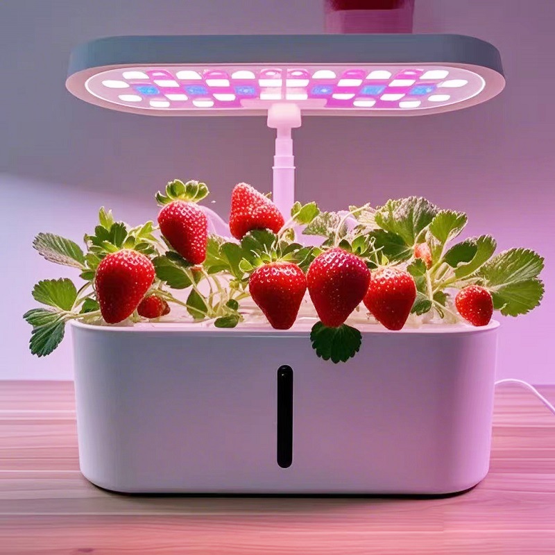 Hydroponic System - Home Smart Hydroponic Vegetable Grower Soilless