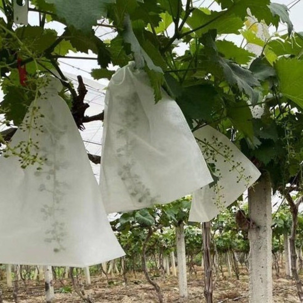 Grow Bags - 100Pcs Non-woven Fruit Protection Bags Anti-bird