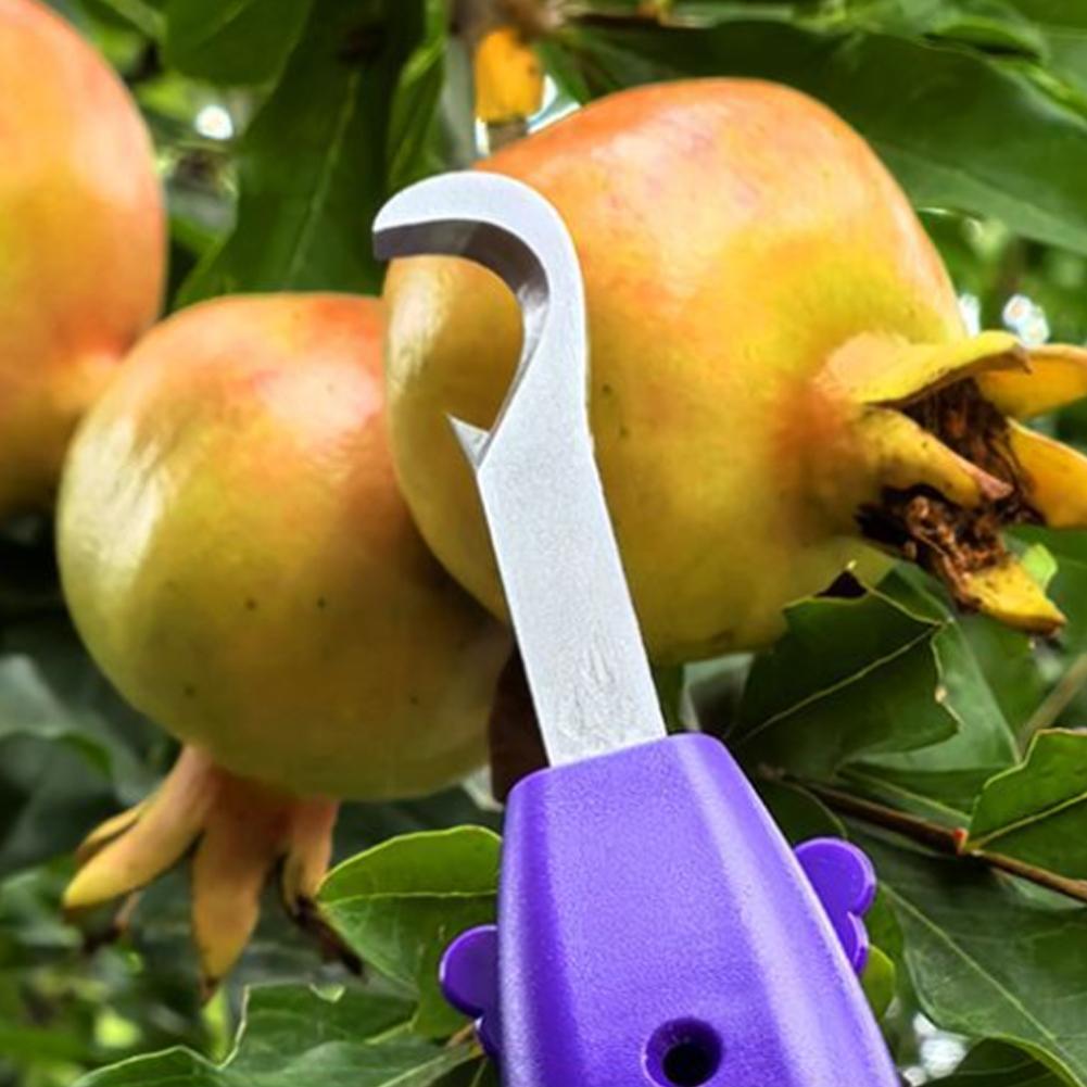 Pruning Shears for Gardening A - огляд і ціна Gardening Tools Scissors