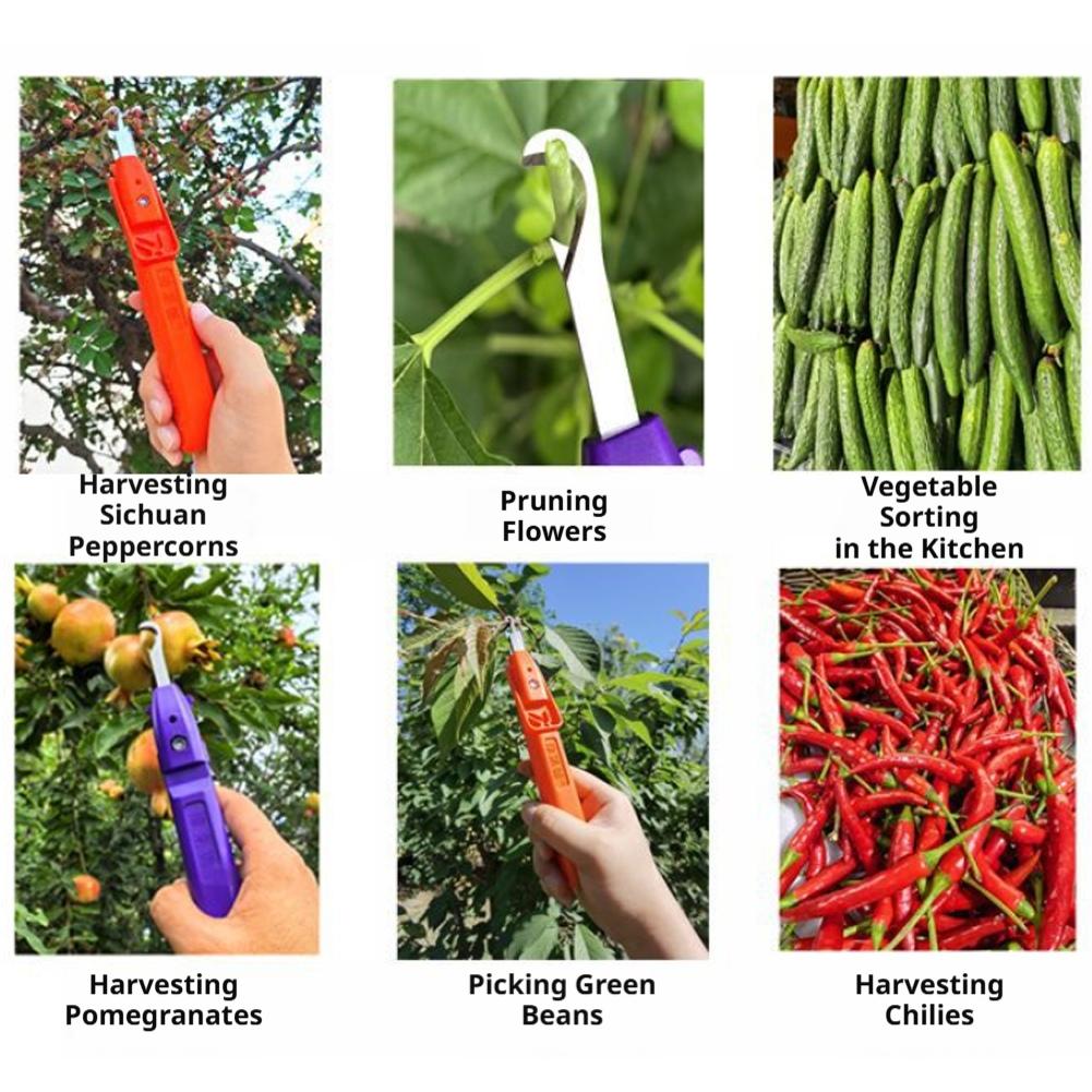 Pruning Shears for Gardening A - огляд і ціна Gardening Tools Scissors