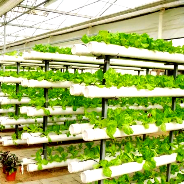 Outdoor Hydroponic Tower Grow  - огляд і ціна Hydroponic System