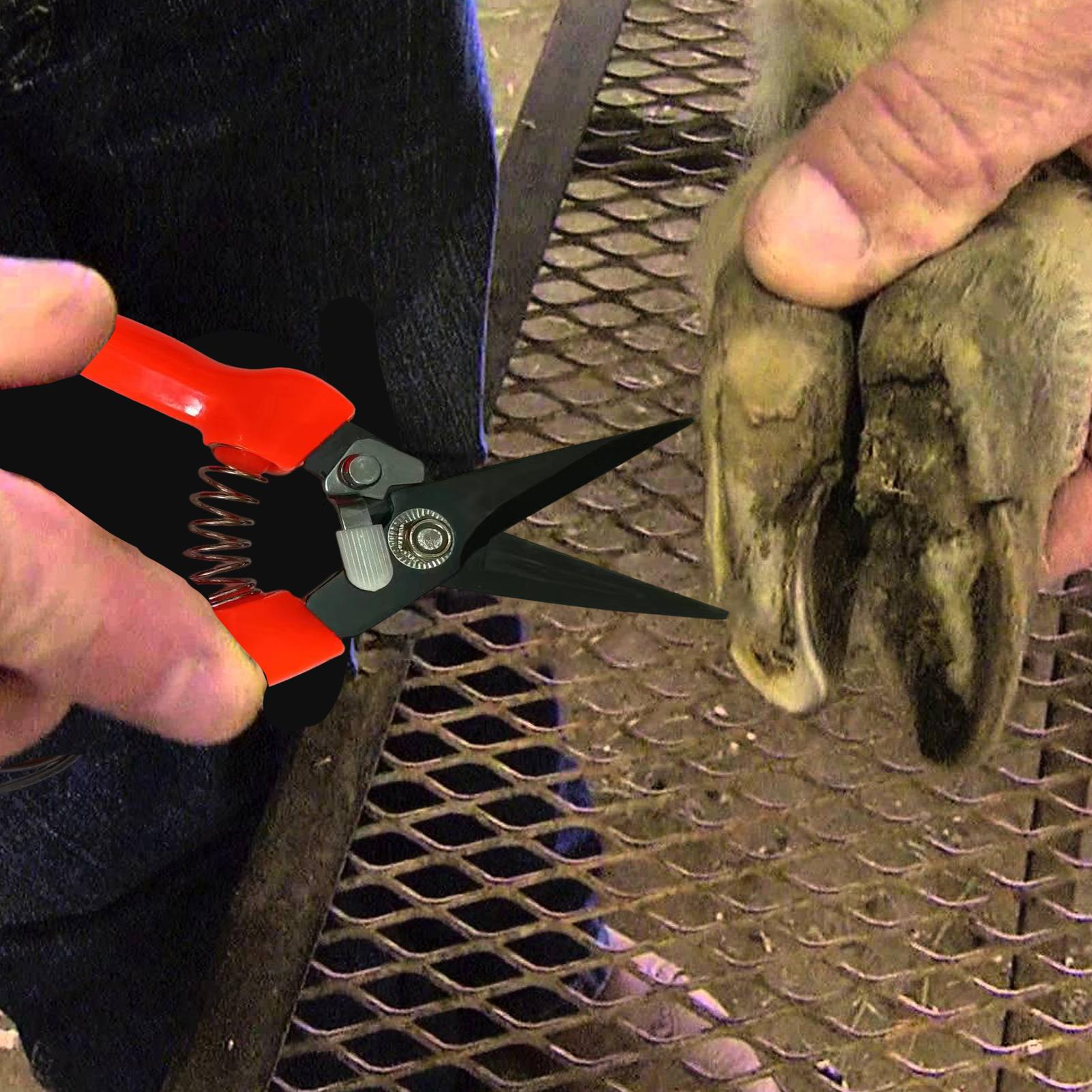 Sheep Hoof Trimmers Shrub Plan - огляд і ціна Garden Hand Trowel