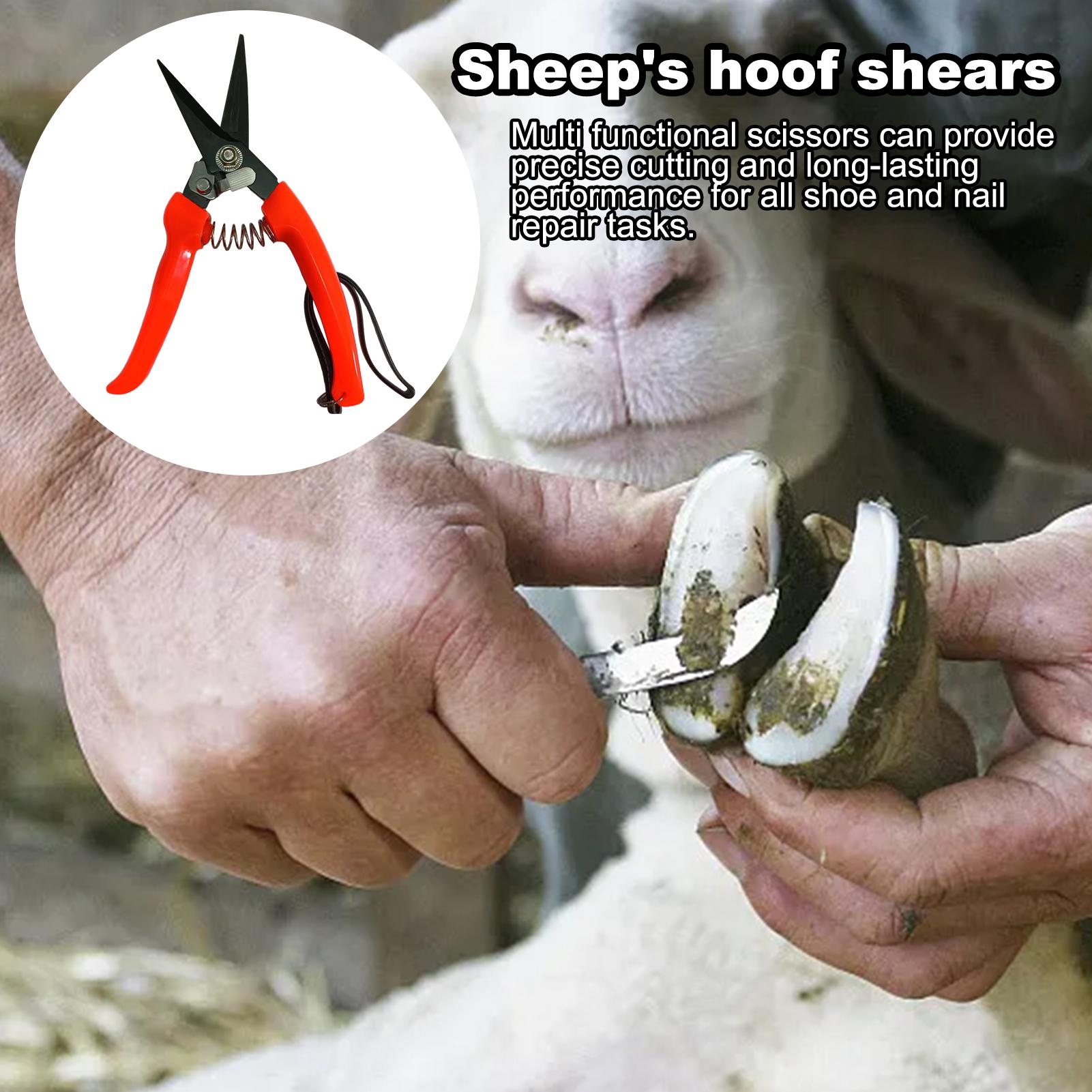 Sheep Hoof Trimmers Shrub Plan - огляд і ціна Garden Hand Trowel