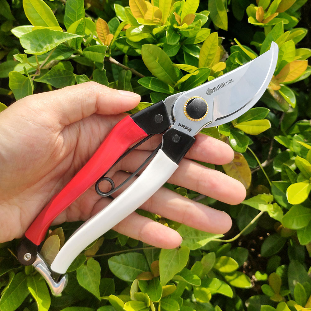 Taiwan Sakawada 168l Gardening - огляд і ціна Gardening Tools In Japan