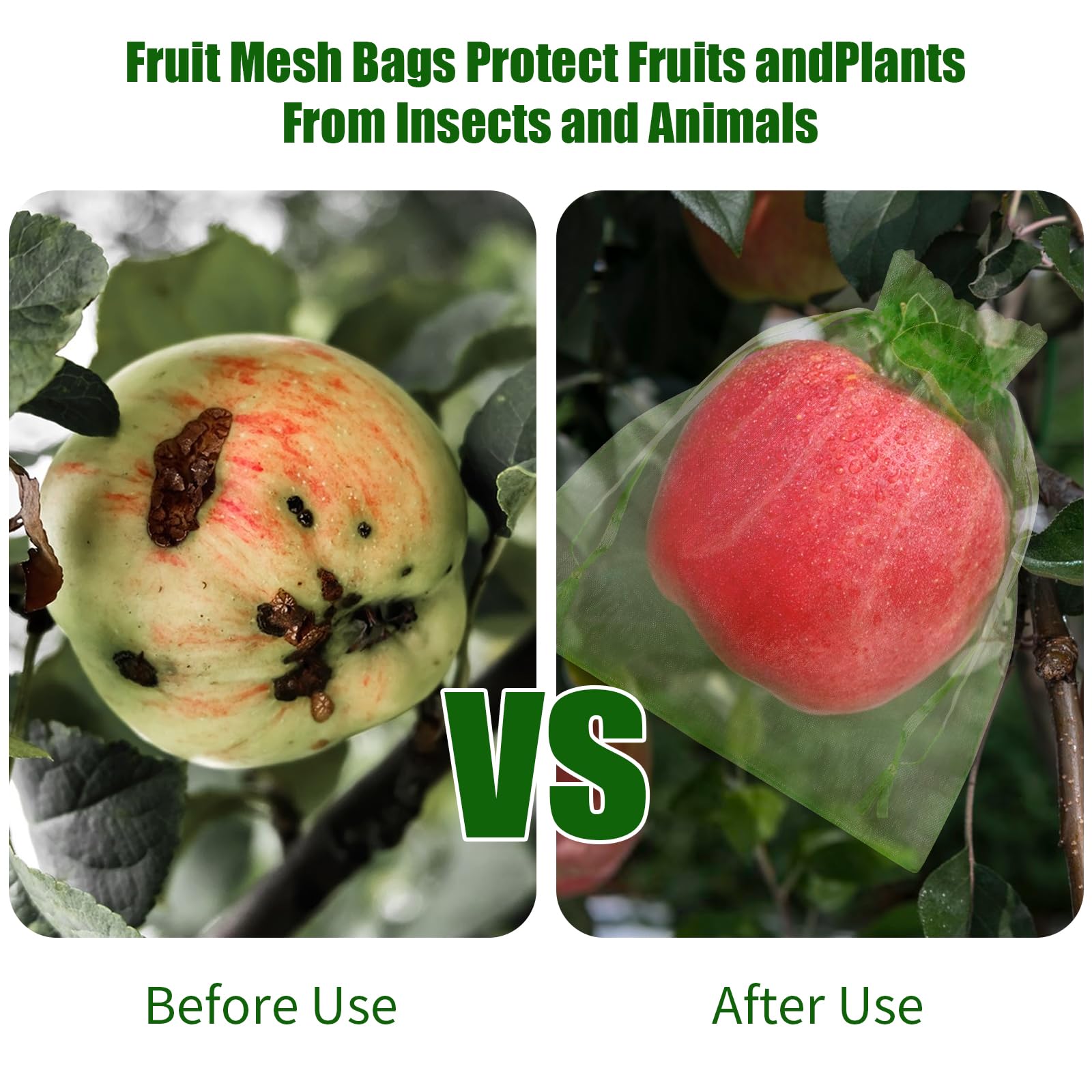 2026 New Fruit Protection Nett - огляд і ціна Grow Bags