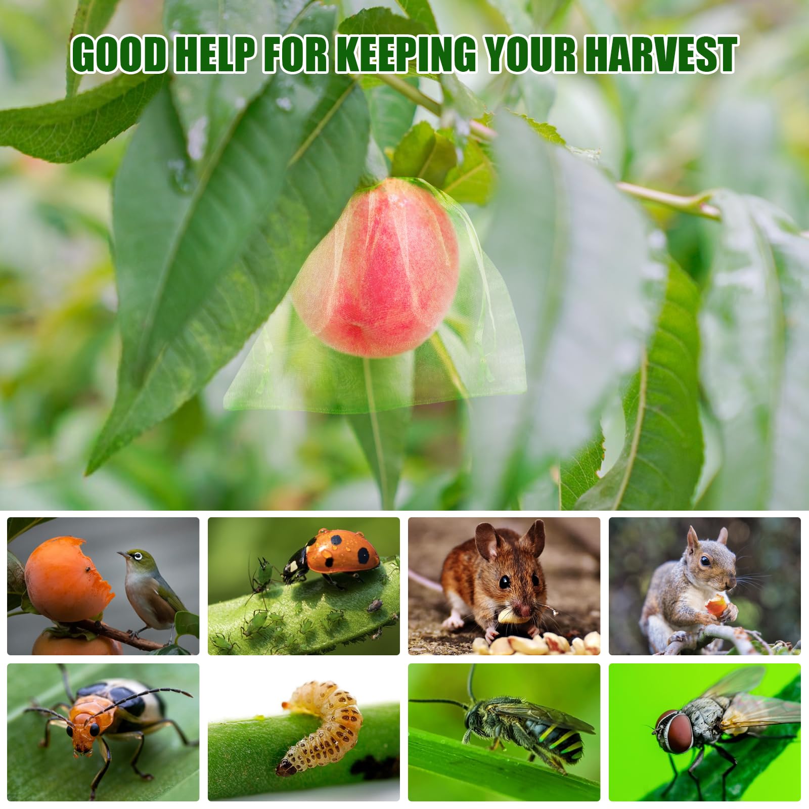 2026 New Fruit Protection Nett - огляд і ціна Grow Bags