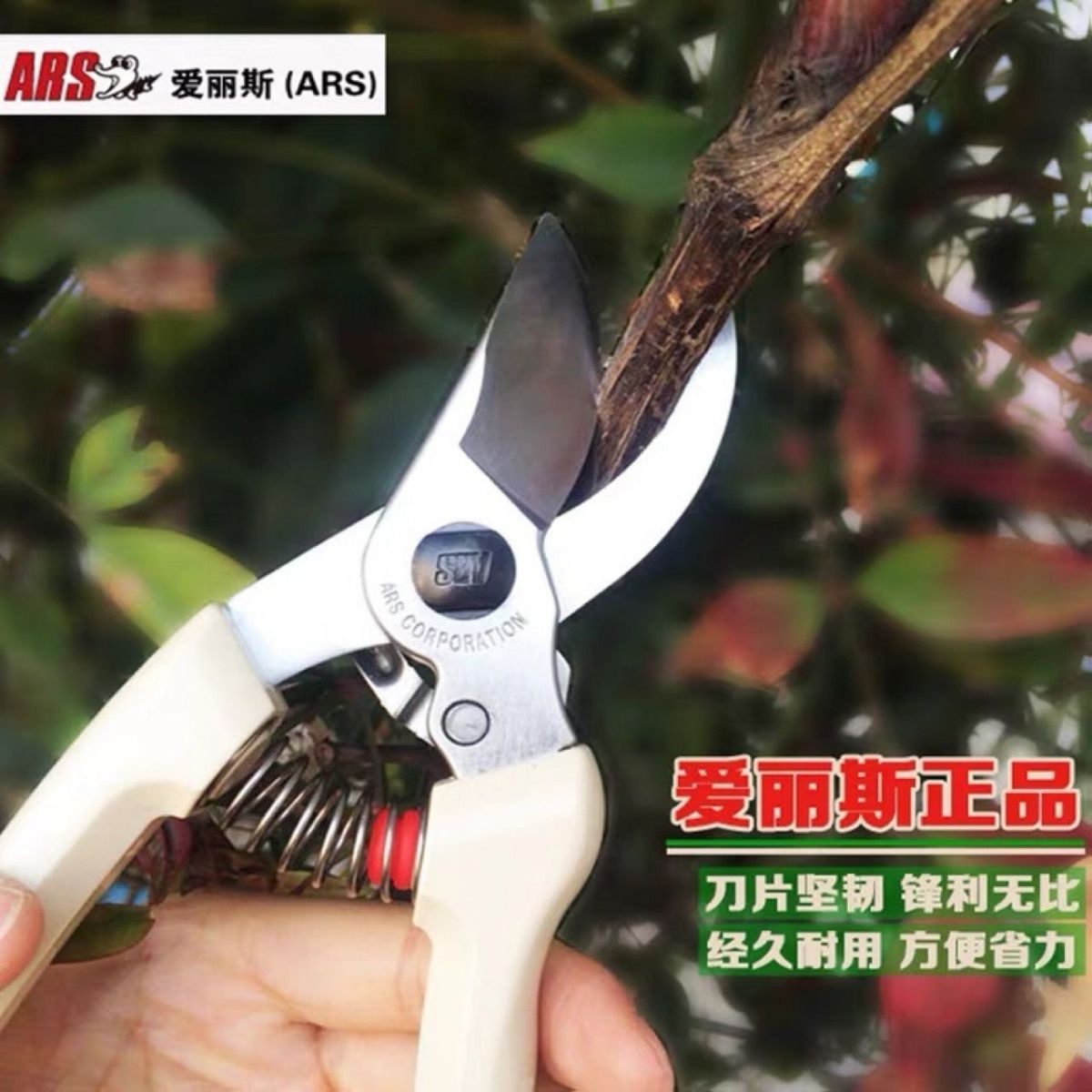 Pruning scissors, garden tools - огляд і ціна Gardening Tools In Japan