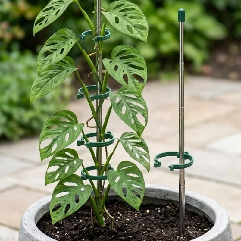 5/1PCS Retractable Plant Suppo - огляд і ціна Gardening Tools Range