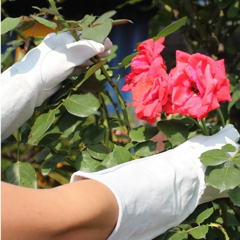 A Pair of Garden Gloves Thorn  - огляд і ціна Garden Gloves Thorn Proof