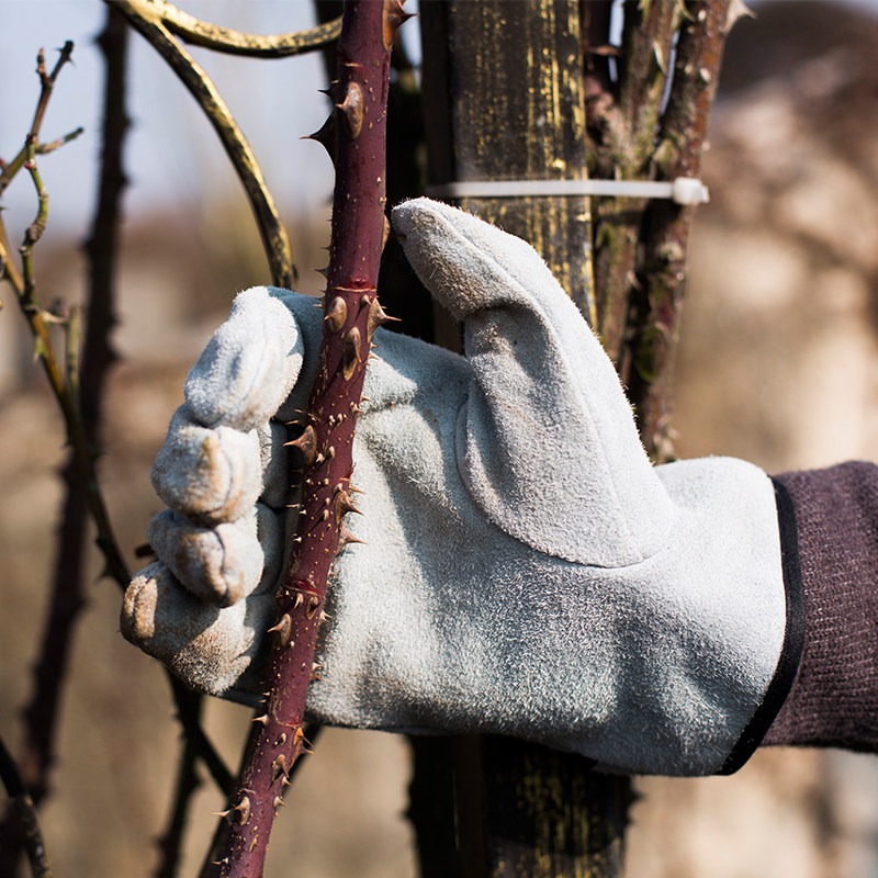 A Pair of Garden Gloves Thorn  - огляд і ціна Garden Gloves Thorn Proof