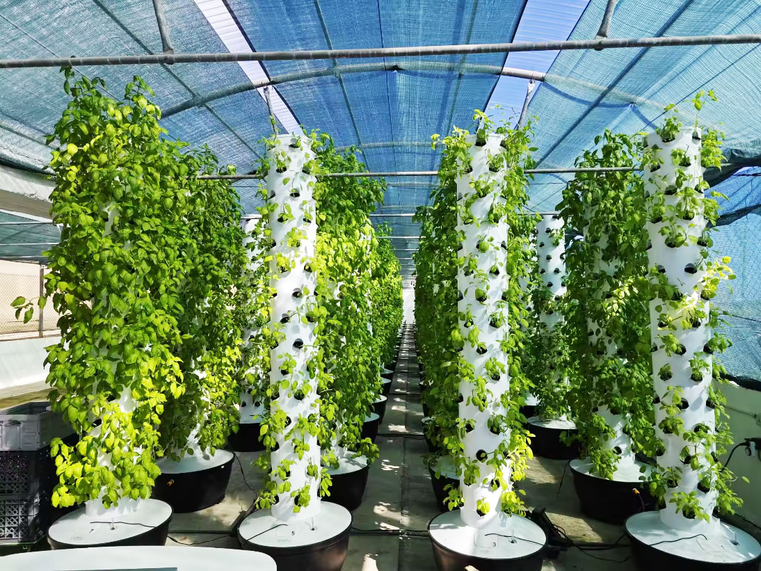 High Quality Easy Install Smal - огляд і ціна Hydroponic System