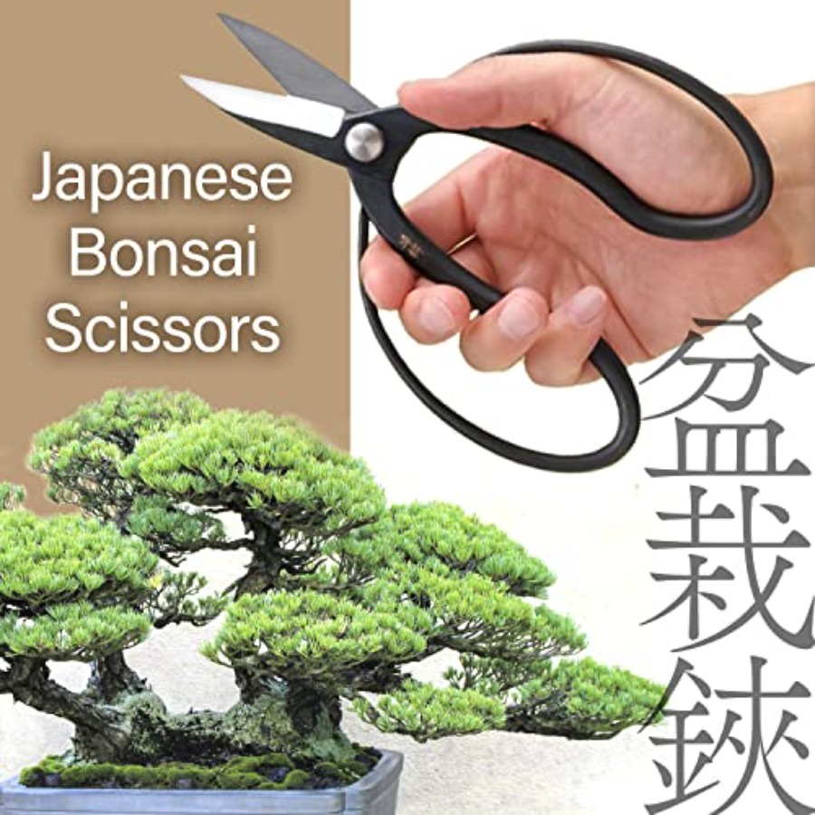 Japanese Suiryu Bonsai Scissor - огляд і ціна Gardening Tools In Japan