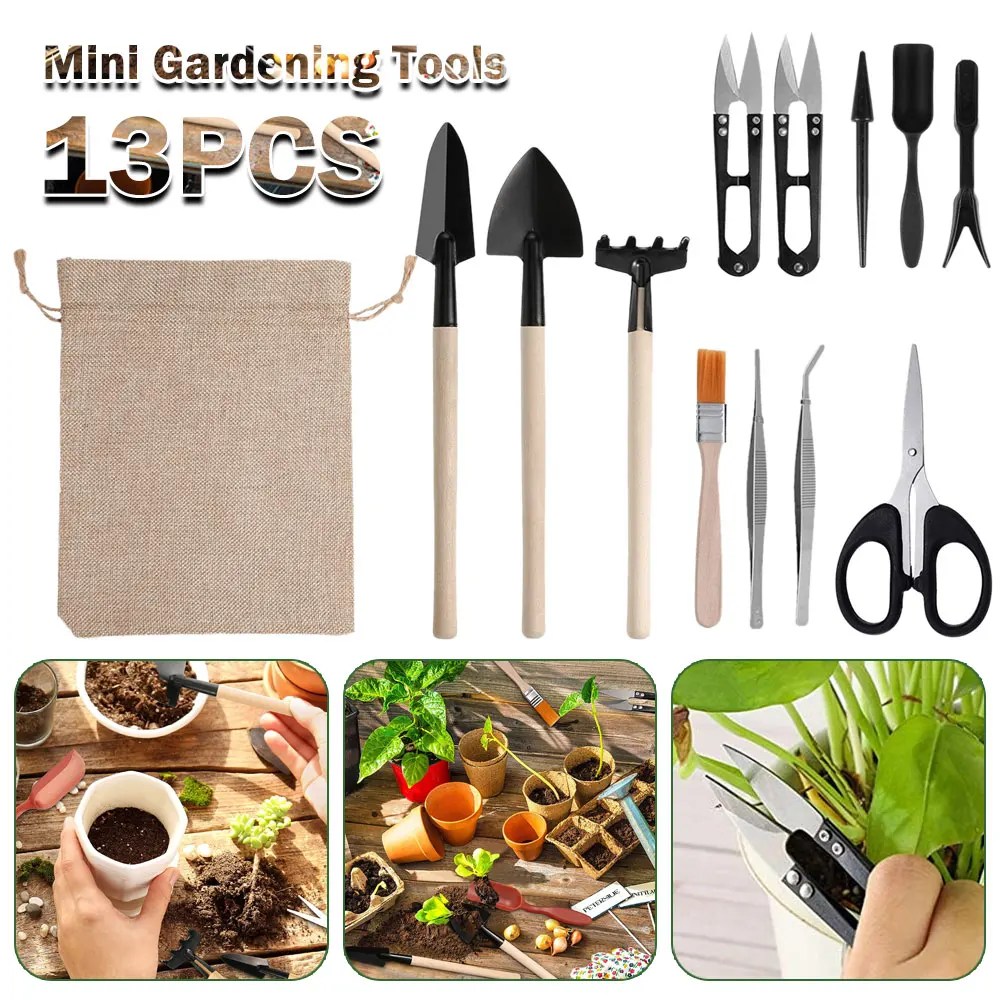 13PCS Succulent Plants Tool Se - огляд і ціна Gardening Tools Sale