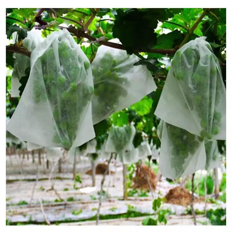 50Pcs Garden Fruit Protection  - огляд і ціна Grow Bags
