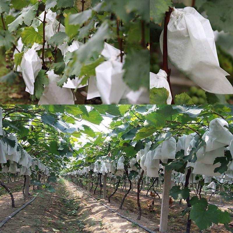 50Pcs Garden Fruit Protection  - огляд і ціна Grow Bags