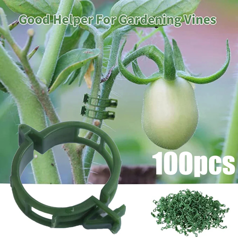 100 PCS/ Plant Support Clip Pl - огляд і ціна Gardening Tools Range