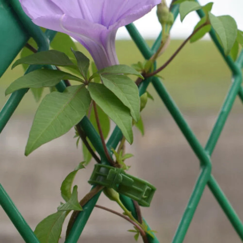 100 PCS/ Plant Support Clip Pl - огляд і ціна Gardening Tools Range