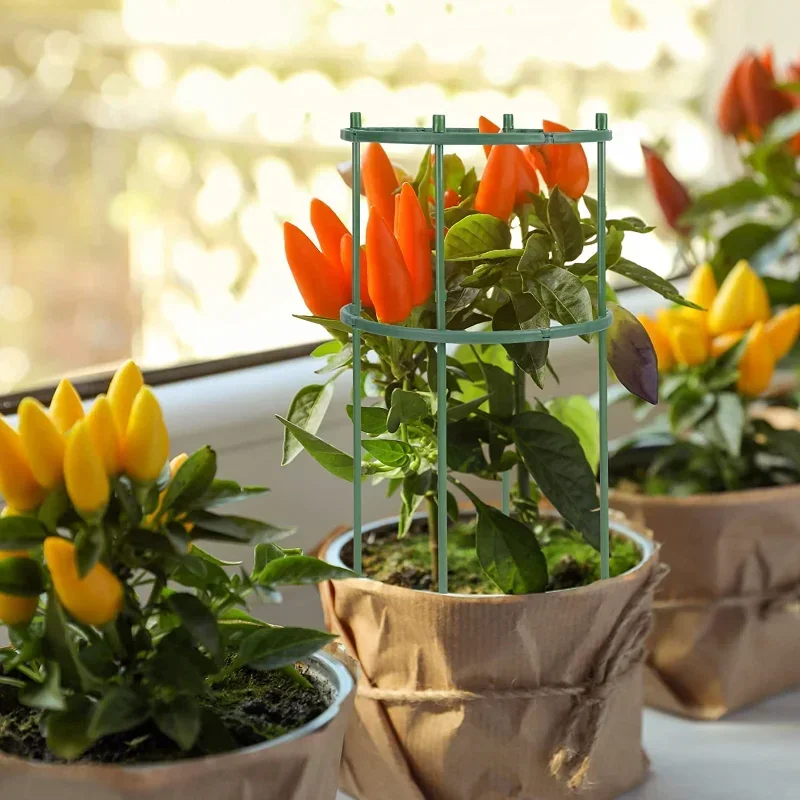 Plastic Plant Support Pile Sta - огляд і ціна Gardening Tools Range