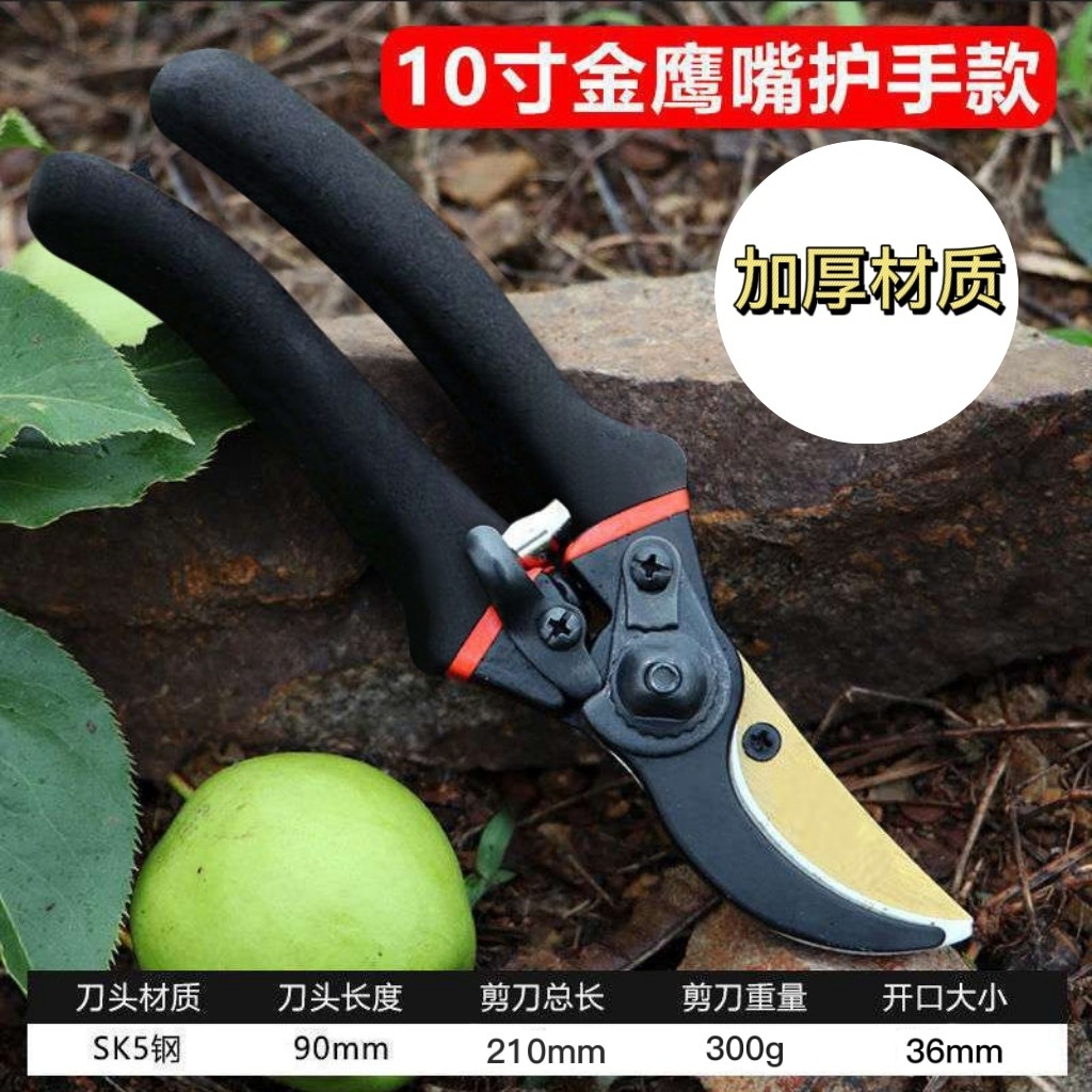 Japan Thickened SK5 Steel Bran - огляд і ціна Gardening Tools In Japan