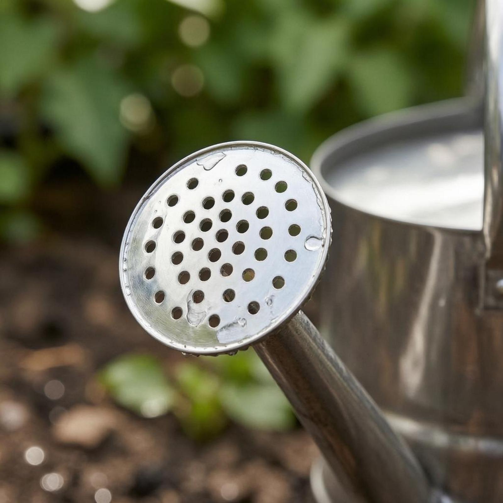 Garden Flower Watering Can Sta - огляд і ціна Gardening Tools Watering Can