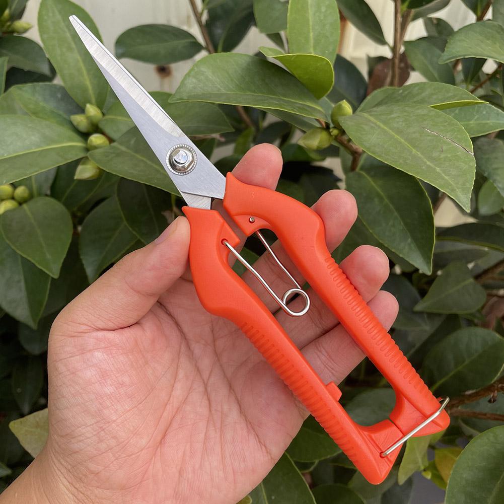 Pro Garden Pruning Shears Leng - огляд і ціна Gardening Tools Scissors