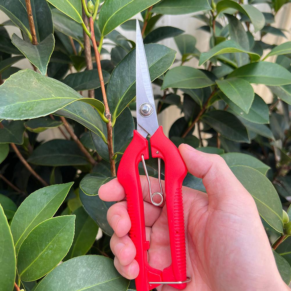 Pro Garden Pruning Shears Leng - огляд і ціна Gardening Tools Scissors
