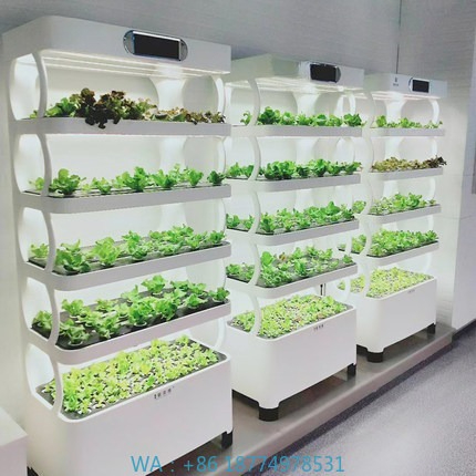 Hydroponic Automated Grow Syst - огляд і ціна Hydroponic System