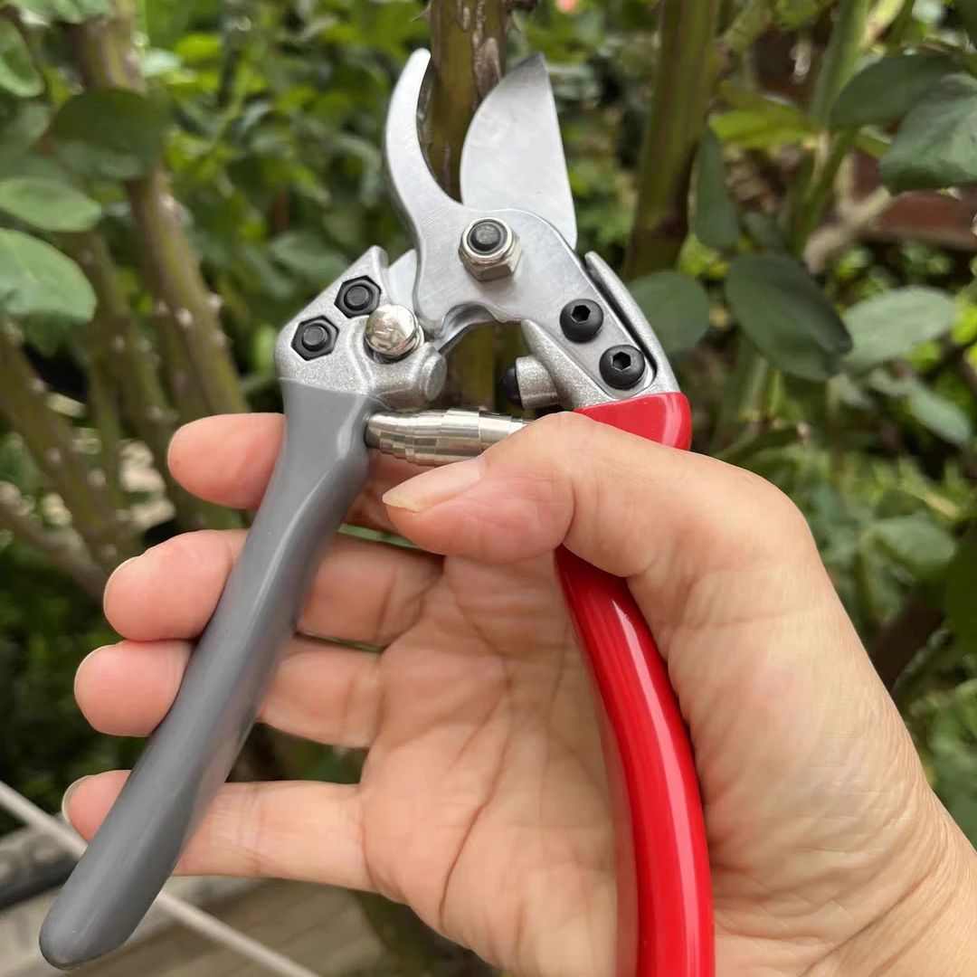 Japan Vvt New Sk5 Strong Garde - огляд і ціна Gardening Tools In Japan