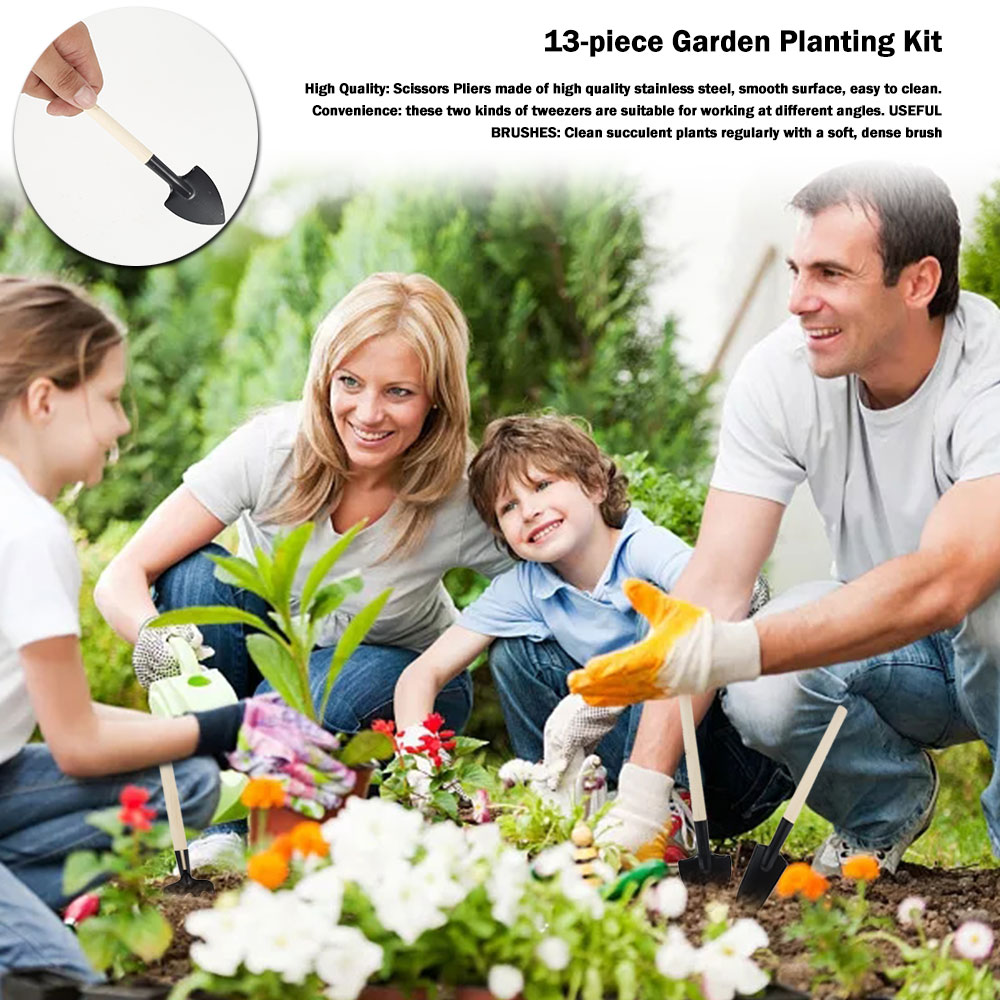 Succulent Plants Tools Mini Ga - огляд і ціна Gardening Tools Sale