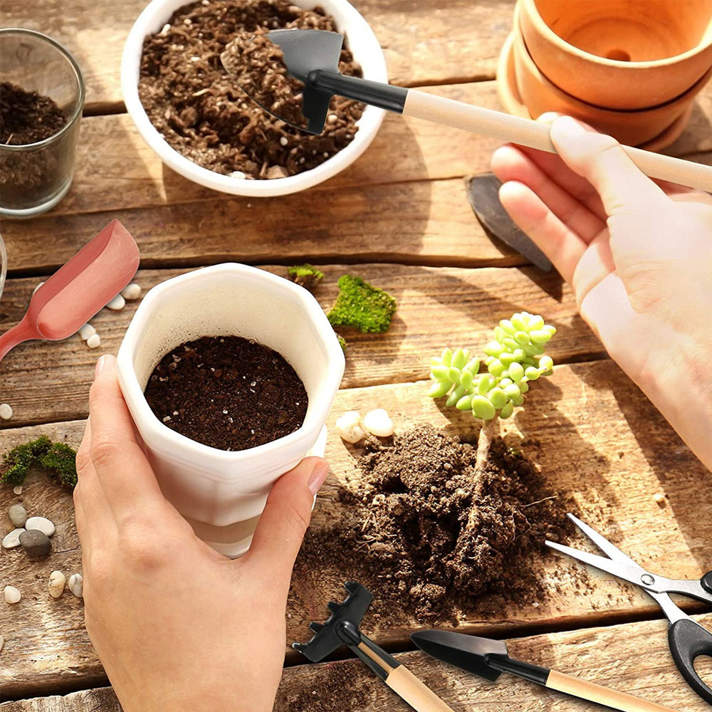 Succulent Plants Tools Mini Ga - огляд і ціна Gardening Tools Sale